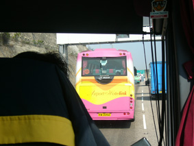 P1010132.jpg