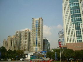 P1010197.jpg