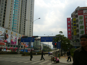 P1010200.jpg